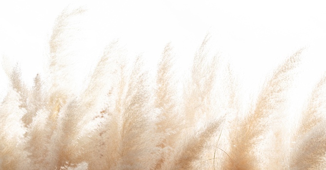 Anxiety & Depression Therapy